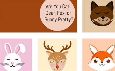 bunny cat fox or deer pretty|are you deer cat fox pretty.